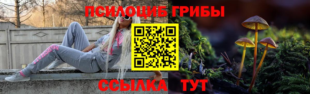 купить закладку  Галлюциногенные грибы мицелий  Набережные Челны  Вход с VPN  Галлюциногенные грибы Psilocybine cubensis 